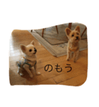 ハタケ用（個別スタンプ：7）