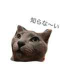 ねこのここあ（個別スタンプ：9）
