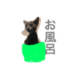 ねこのここあ（個別スタンプ：12）