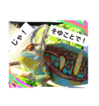 カメレオンPERO（個別スタンプ：7）