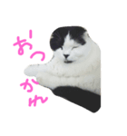 折れみみまろる Vol.1（個別スタンプ：2）