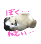 折れみみまろる Vol.1（個別スタンプ：5）