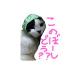 折れみみまろる Vol.1（個別スタンプ：8）