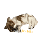 パピヨンの七変化2（個別スタンプ：9）