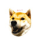 サンタののんきな毎日（個別スタンプ：3）
