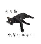 ももと愉快なアニマルたち（個別スタンプ：2）