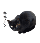 ももと愉快なアニマルたち（個別スタンプ：4）