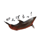 ももと愉快なアニマルたち（個別スタンプ：7）