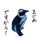 ももと愉快なアニマルたち（個別スタンプ：24）