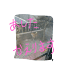 しばのたいよう連絡用（個別スタンプ：4）