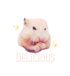 キンクマハムのCiel（個別スタンプ：4）