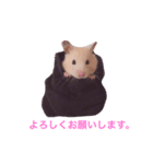 キンクマハムのCiel（個別スタンプ：5）
