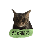 あめりさん 〜はじめて〜（個別スタンプ：2）