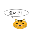 Butaneko Talk（個別スタンプ：8）