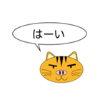 Butaneko Talk（個別スタンプ：11）