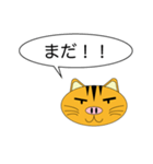 Butaneko Talk（個別スタンプ：12）