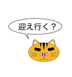 Butaneko Talk（個別スタンプ：25）
