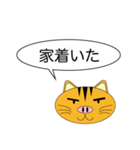 Butaneko Talk（個別スタンプ：27）
