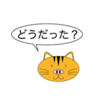 Butaneko Talk（個別スタンプ：36）