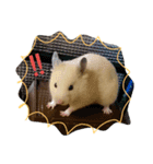 キンクマハムスターのkimochiすたんぷ（個別スタンプ：9）