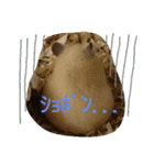 キンクマハムスターのkimochiすたんぷ（個別スタンプ：13）