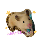 キンクマハムスターのkimochiすたんぷ（個別スタンプ：14）