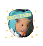 キンクマハムスターのkimochiすたんぷ（個別スタンプ：16）
