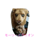 ハムちゃんず（個別スタンプ：7）