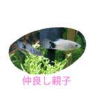 ハムちゃんず（個別スタンプ：8）
