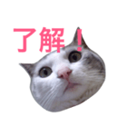 Konatu（個別スタンプ：1）