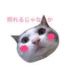 Konatu（個別スタンプ：3）