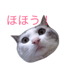 Konatu（個別スタンプ：8）