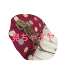 ふとあごマイさん（個別スタンプ：7）