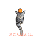 こねこねこねこね（個別スタンプ：1）