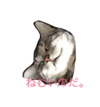 こねこねこねこね（個別スタンプ：2）