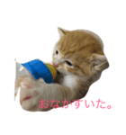 こねこねこねこね（個別スタンプ：6）