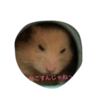 ハムスター1（個別スタンプ：2）