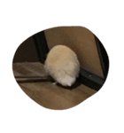 ハムスター1（個別スタンプ：6）