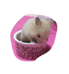 ハムスター1（個別スタンプ：7）