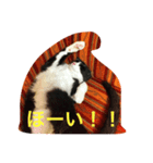 ニャンコ！（個別スタンプ：6）