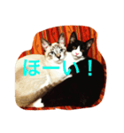 ニャンコ！（個別スタンプ：8）