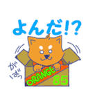 しばけんの柴田君（個別スタンプ：39）