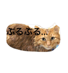 そらの俺様ひとりごと集 第1弾（個別スタンプ：3）