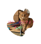 そらの俺様ひとりごと集 第1弾（個別スタンプ：5）