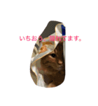 そらの俺様ひとりごと集 第1弾（個別スタンプ：13）