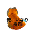 そらの俺様ひとりごと集 第1弾（個別スタンプ：15）