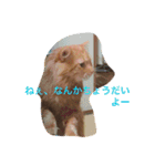 そらの俺様ひとりごと集 第1弾（個別スタンプ：16）