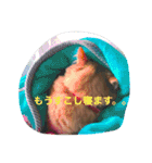 そらの俺様ひとりごと集 第1弾（個別スタンプ：18）