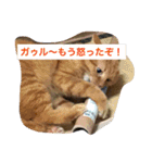 そらの俺様ひとりごと集 第1弾（個別スタンプ：20）