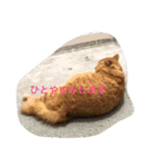 そらの俺様ひとりごと集 第1弾（個別スタンプ：21）